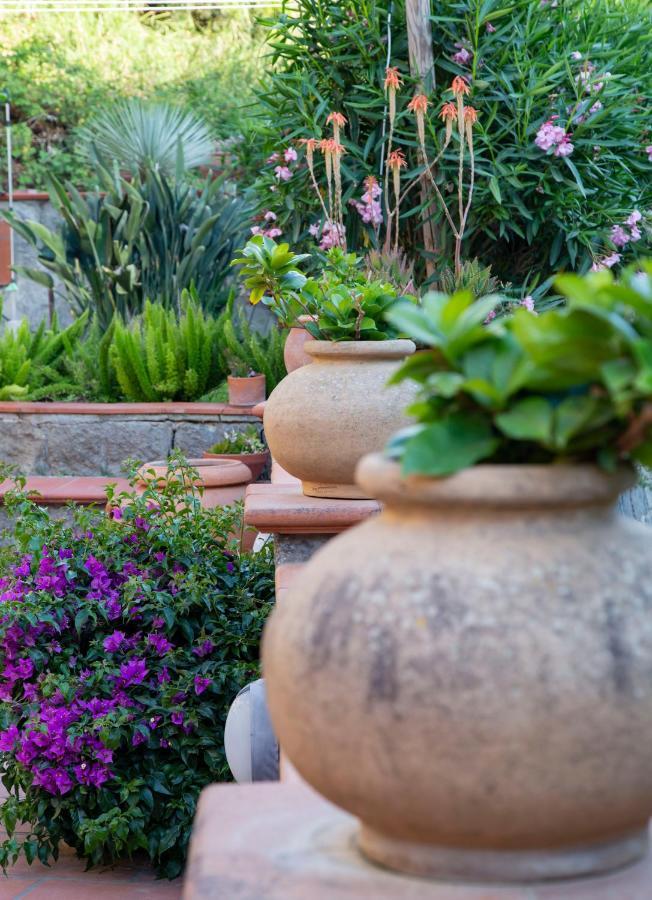 Villa Paradiso Sant'Angelo  エクステリア 写真