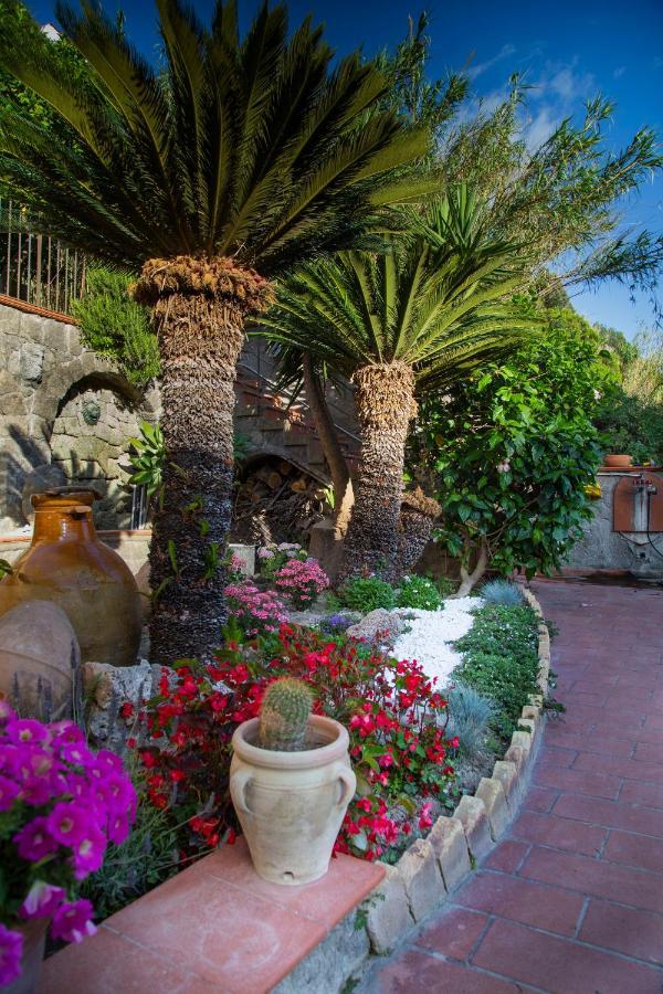 Villa Paradiso Sant'Angelo  エクステリア 写真